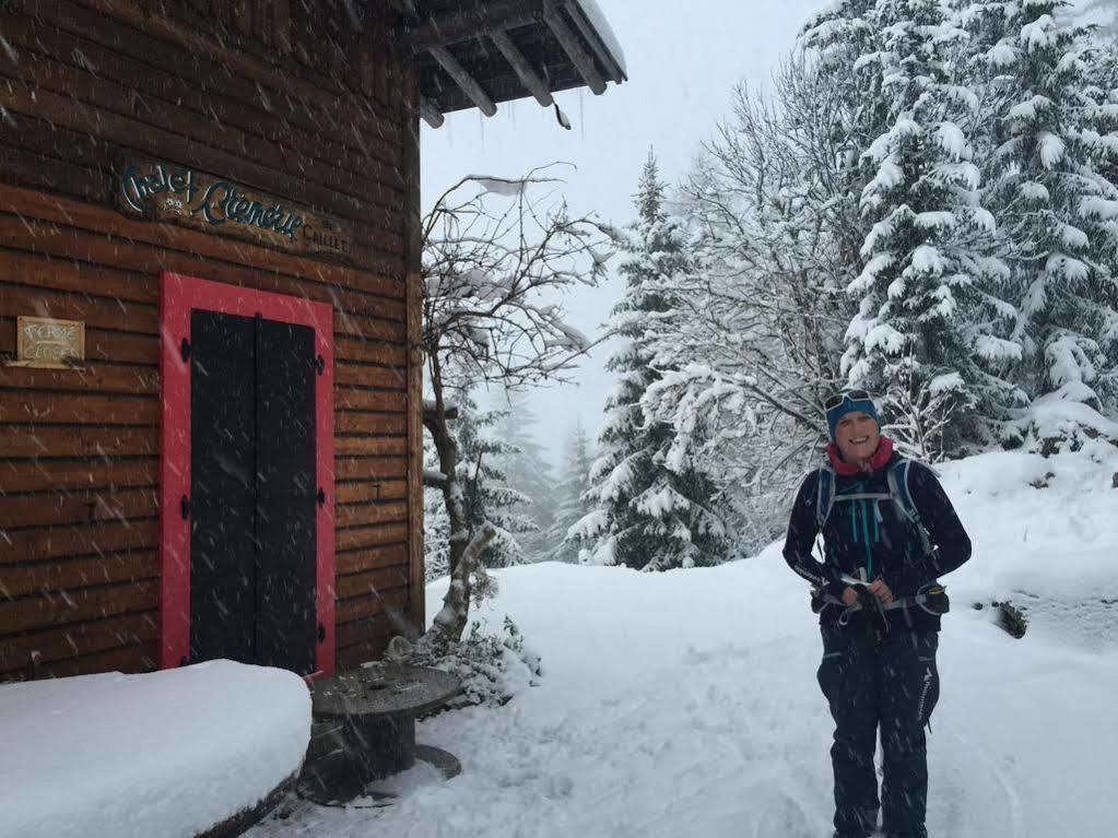 Chalet Heron Les Houches Eksteriør billede